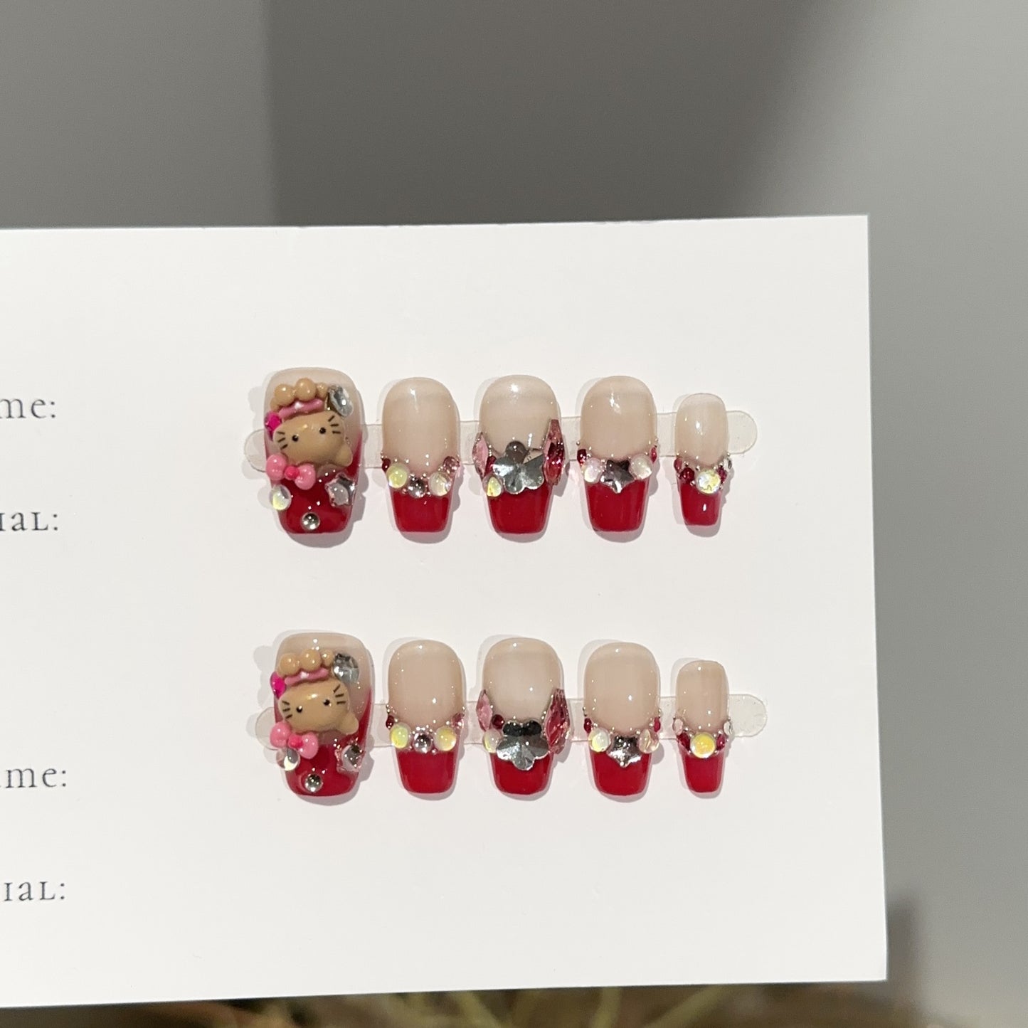 Handmade Press On Nails C361