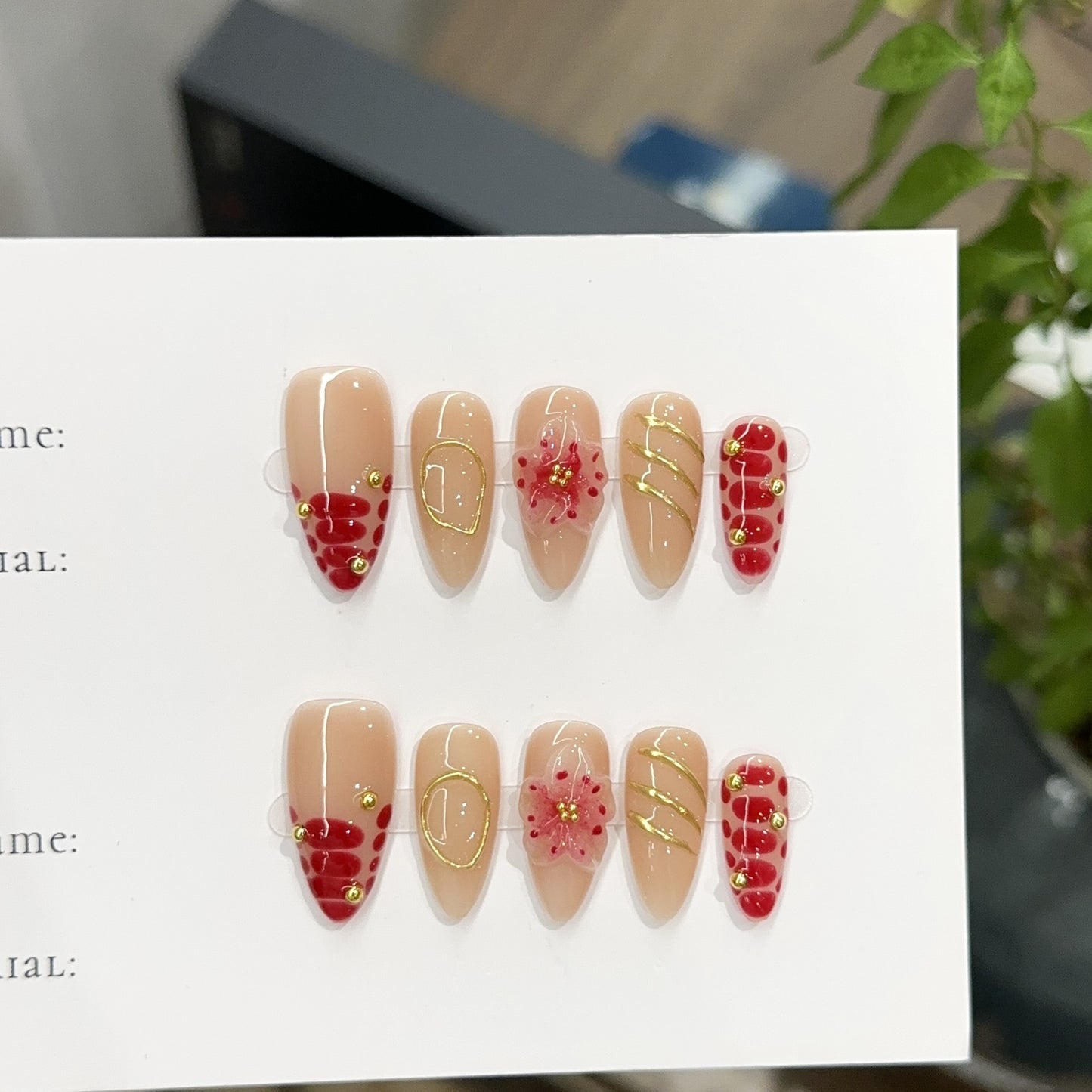 Handmade Press On Nails C419
