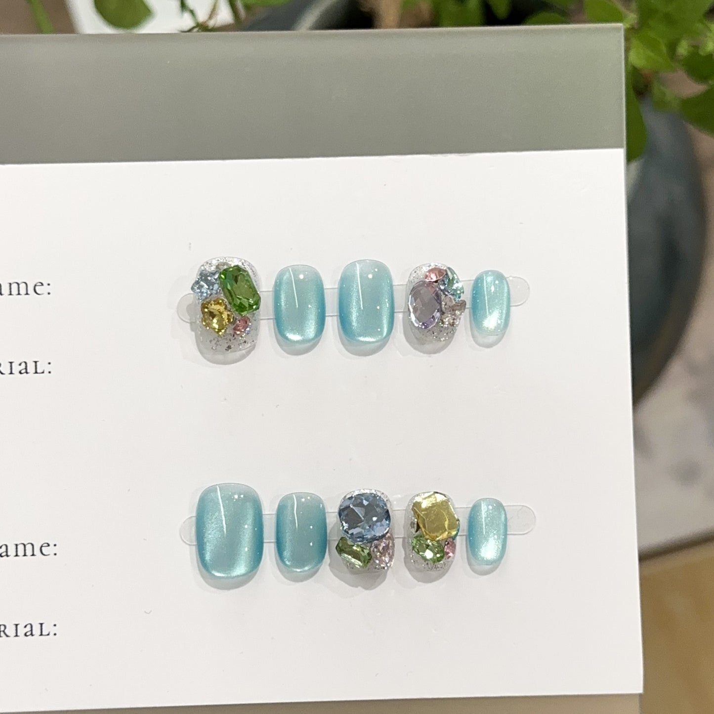 Handmade Press On Nails C420